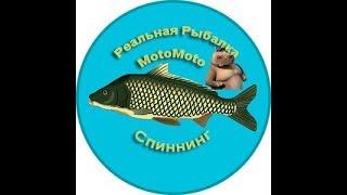 Спиннинг | Реальная Рыбалка