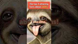 Top 3 Amazing moving Sloth Facts! #shorts #SlothFacts #Wildlife #BeastStudio