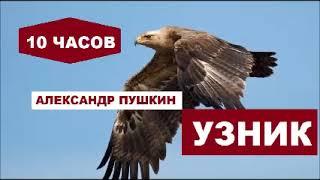 УЗНИК.  #ПУШКИН  #10ЧАСОВАЯ ВЕРСИЯ  #НАИЗУСТЬ ВО СНЕ