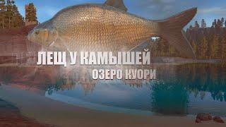 Русская Рыбалка 4 ► Russian Fishing 4 ► Озеро Куори - Лещ у камышей!