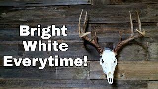 How To Get Super White Skull Mounts