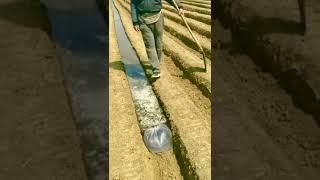 farmers like 