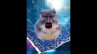 Holy F**k Im Coming, Oh  #brainrot #memes #funny #walterwhite #breakingbad #dankmemes #instagram