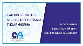 Как проявляется бешенство у собак. Тихая форма.