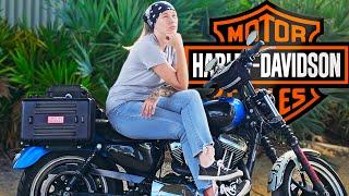 Why Do People Hate Harley-Davidson and Its Riders?