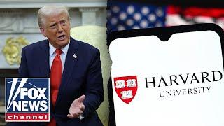 White House fires back against Harvard lawsuit: 'Gravy train... coming to an end'