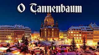 O Tannenbaum  [German Christmas song][+English translation]