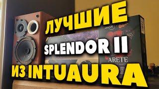 Как Вложить 250$ в ЗВУК Грамотно? INTUAURA Splendor II vs Ziigaat ARETE