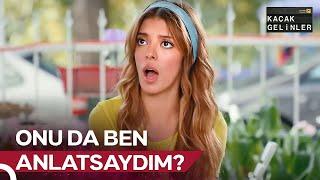 Herkes Her Şeyi Nasıl Öğrenebildi? | Günlük Şebnem Dozu #25