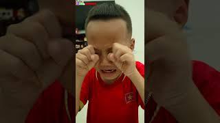 Funny video | Cute cat #shorts #funny