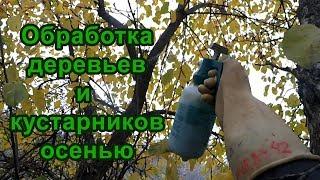 Обработка деревьев и кустарников