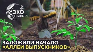 Планета Электрика = Эко Планета