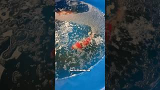 Why is this koi water DISGUSTING?!