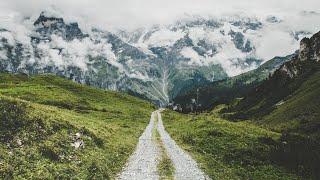 Blue skies to the dark moody forest (Nature Visualizer)