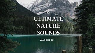 Ultimate Nature Sounds: Relax & De-Stress with Soothing Natural Ambience