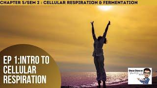 Chapter 5 EP 1 / Sem 2 : Intro to Cellular Respiration (Matriculation Biology)