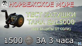 ТЕСТ КАТУШКИ ТАМА SAL5000НОРВЕЖСКОЕ МОРЕ1500 МОНЕТ ЗА 3 ЧАСАРусская Рыбалка 4 (РР4)