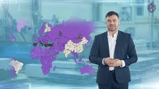 Компания Кронос
