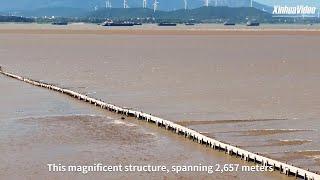 The beauty beneath: Ancient stone bridge emerges from water in East China