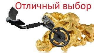Что можно найти металлоискателем из Китая? Профессиональный металлоискатель с Aliexpress