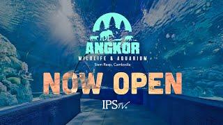 IPS TV S03 E08 | Angkor Wildlife & Aquarium - Siem Reap | IPS Cambodia