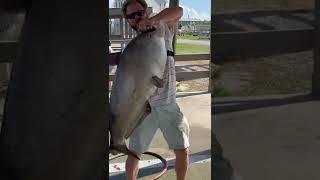 50 lb cat out by cypress cove Marina cleaning tables