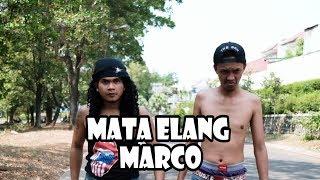 MATA ELANG MARCO ANAK BUAH MAELL LEE