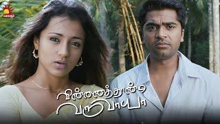 எனக்கு உன்ன பிடிக்கணுமே முதல்ல | Vinnaithandi Varuvaaya | Simbu | Trisha | GVM