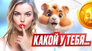 Хомяк - Что Дальше? - HAMSTER KOMBAT