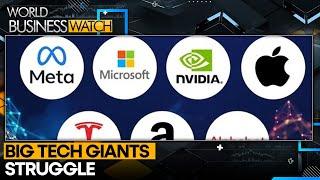 2025 Tech Market: The Magnificent 7’s Tough Start | World Business Watch | WION