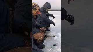 Ловля плотвы со льда.Зимняя рыбалка