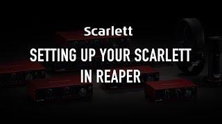 Setting up your Scarlett in Reaper