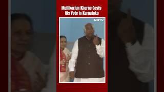 LS Polls Phase 3 Voting | Congress President Mallikarjun Kharge Casts His Vote In Karnataka