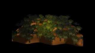 DirectX11 - Geometry Shader - Tree Billboards