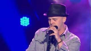 Stefan Vollenweider - Wild Horses - Blind Audition - The Voice of Switzerland 2013