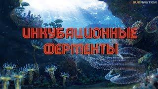 [SQM] Subnautica. Инкубационные Ферменты - где добыть