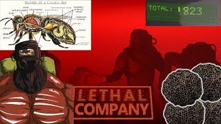 how to steal beehives and master hiverunning | lethal company