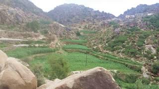 من الإرشيف تسجيل صوت لعب قبيلة قيس الجزء التاسع