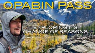 Experience the Stunning Seasonal Shift on Opabin Plateau | Lake O'Hara - Yoho National Park