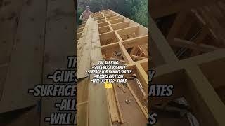 Installing Scottish Sarking Board Roofs #shorts #sarking #sarkingboards #scotland #roofing #diy