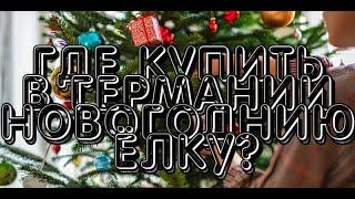 А вы Знали? Где в Германии можно купить новогоднюю ёлку?