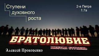 Братолюбие | Ступени духовного роста. Шестая ступень. | Алексей Прокопенко