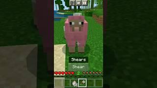 Minecraft But Shearing Sheep  Gives Op items!!.... #shorts