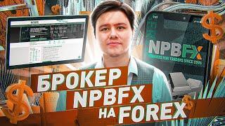 Forex uchun eng ishonchli broker NPBFX Forexni noldan boshlash