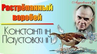 Константин Паустовский.  РАСТРЕПАННЫЙ ВОРОБЕЙ. рассказ. Сказка. Аудиокнига