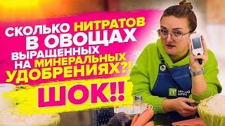 НИТРАТЫ В ОВОЩАХ! Измеряем в наших овощах! Как избавиться от нитратов