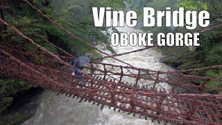 Rainy Summer in Oboke Gorge on Shikoku Island, JP. Flying in rain and under waterfall. DJI Avata 2