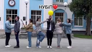 нубіп