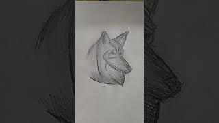 wolf || AK talented artist