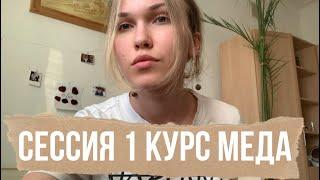 КАК СДАТЬ СЕССИЮ В МЕДЕ:гиста и анат